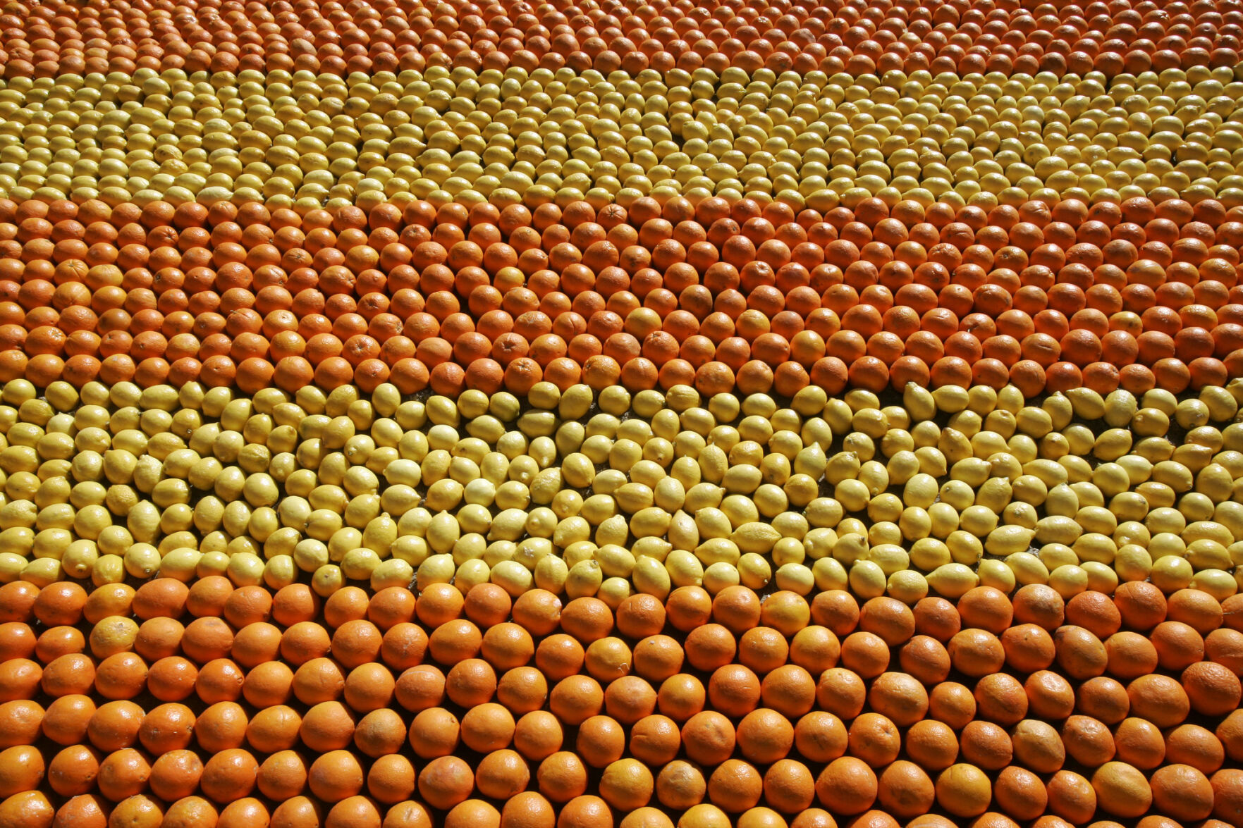 FRANCE LEMON FESTIVAL